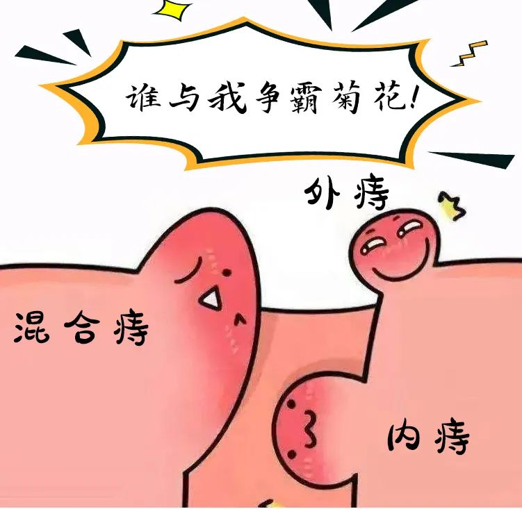 【谈肛说肠】内痔、外痔、混合痔如何区分？哪种更危险？