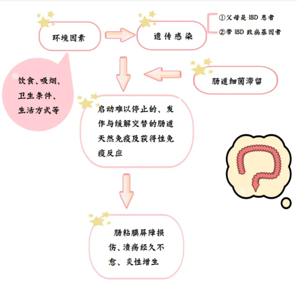 腹痛腹泻耽误不得！可能是“炎症性肠病”