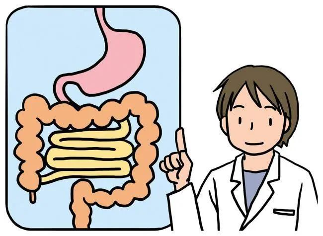  掌握“肠”识，才能健康“肠”寿！