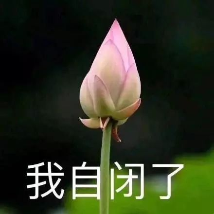 【术后必看】肛门好痒！术后为什么会出现肛门瘙痒呢？          