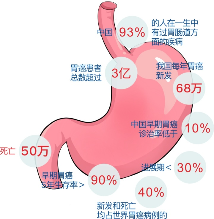 预防胃癌，从筛查开始！