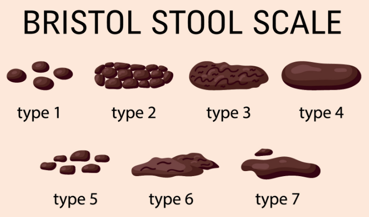 什么样的便便证明你很健康？尤其是这两种形状！